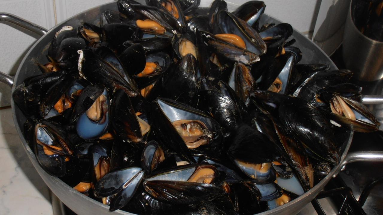 Allarme cozze a Olbia: c’è un lotto non idoneo al consumo