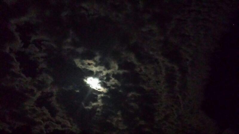 Dai nostri sogni possiamo capire le nostre emozioni