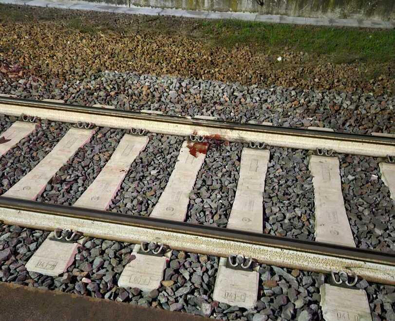 Pontelagoscuro, steso sui binari sanguinante viene salvato prima dell'arrivo del treno<br type="_moz" />
