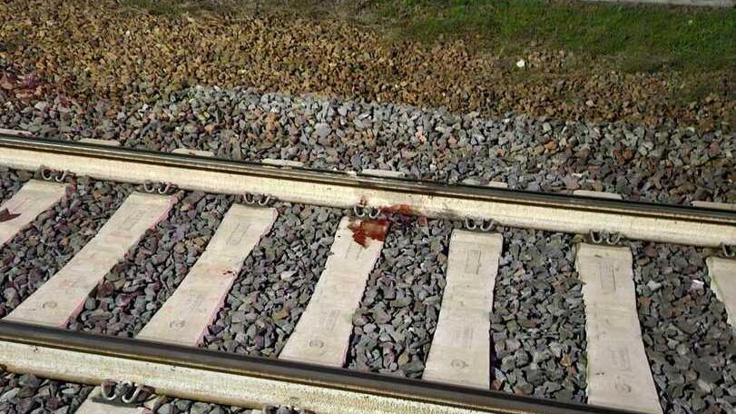 Pontelagoscuro, steso sui binari sanguinante viene salvato prima dell'arrivo del treno<br type="_moz" />