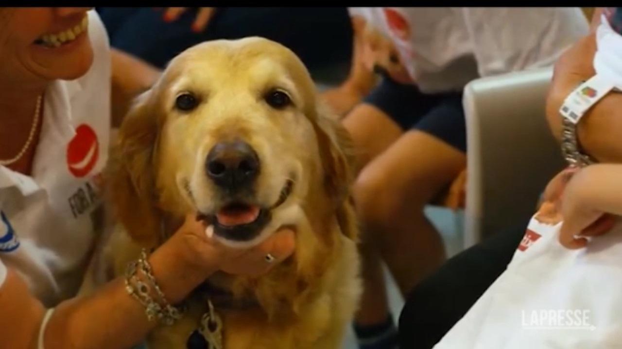 Un animale fa bene al cuore