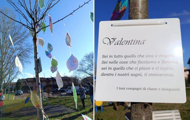 L’Albero di Valentina, a Cocomaro un arbusto per ricordare la bimba scomparsa
