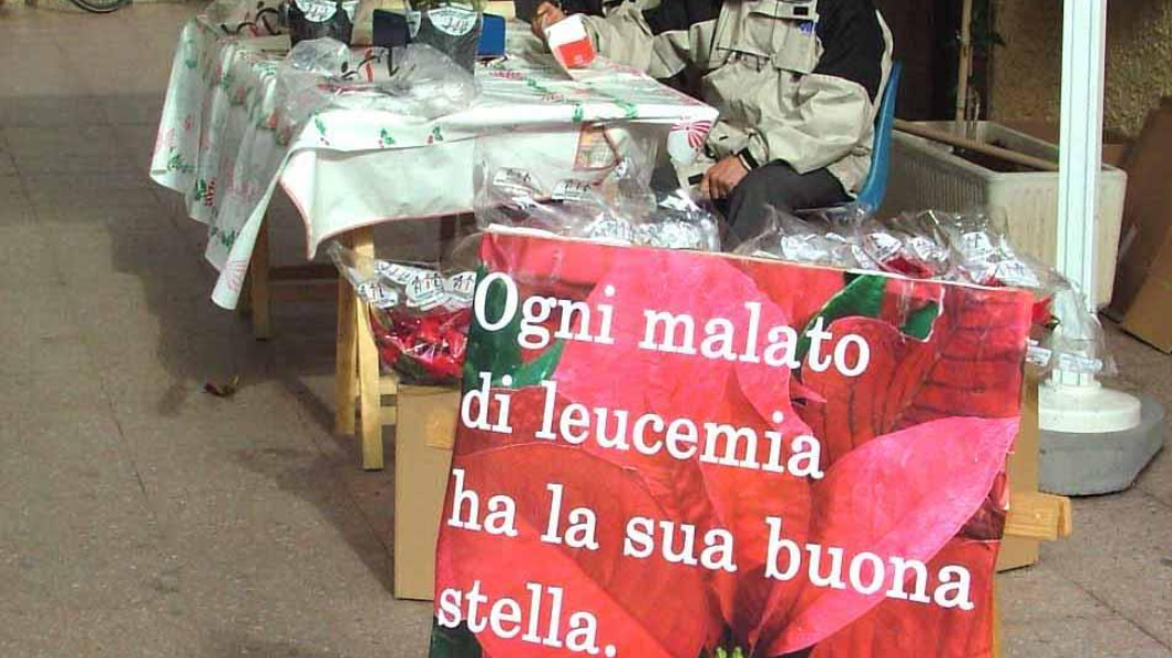 Stelle dell’Ail, dolcetti dell’Airc: doni per abbracciare chi soffre<br type="_moz" />