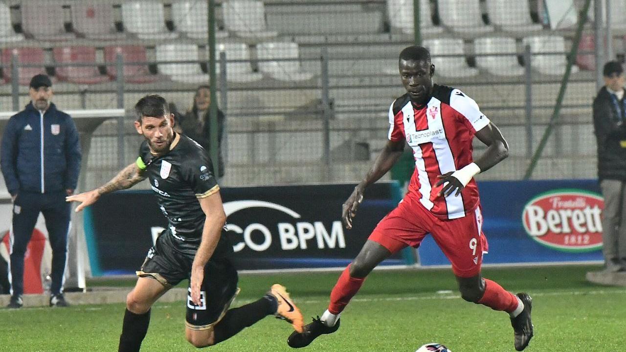 Vis Pesaro-Torres LE PAGELLE