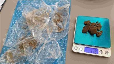Ferrara, sorpresa con 27 grammi di hashish: denunciata adolescente