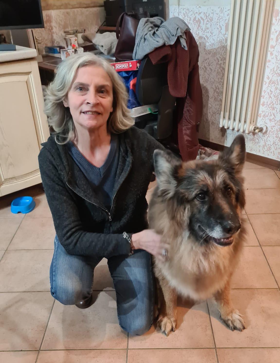 Il lieto fine di Natale: Jack e Kelly rischiavano di finire al canile anziani invece due famiglie li hanno accolti