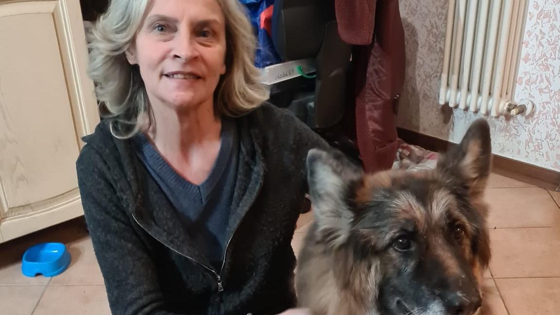 Il lieto fine di Natale: Jack e Kelly rischiavano di finire al canile anziani invece due famiglie li hanno accolti