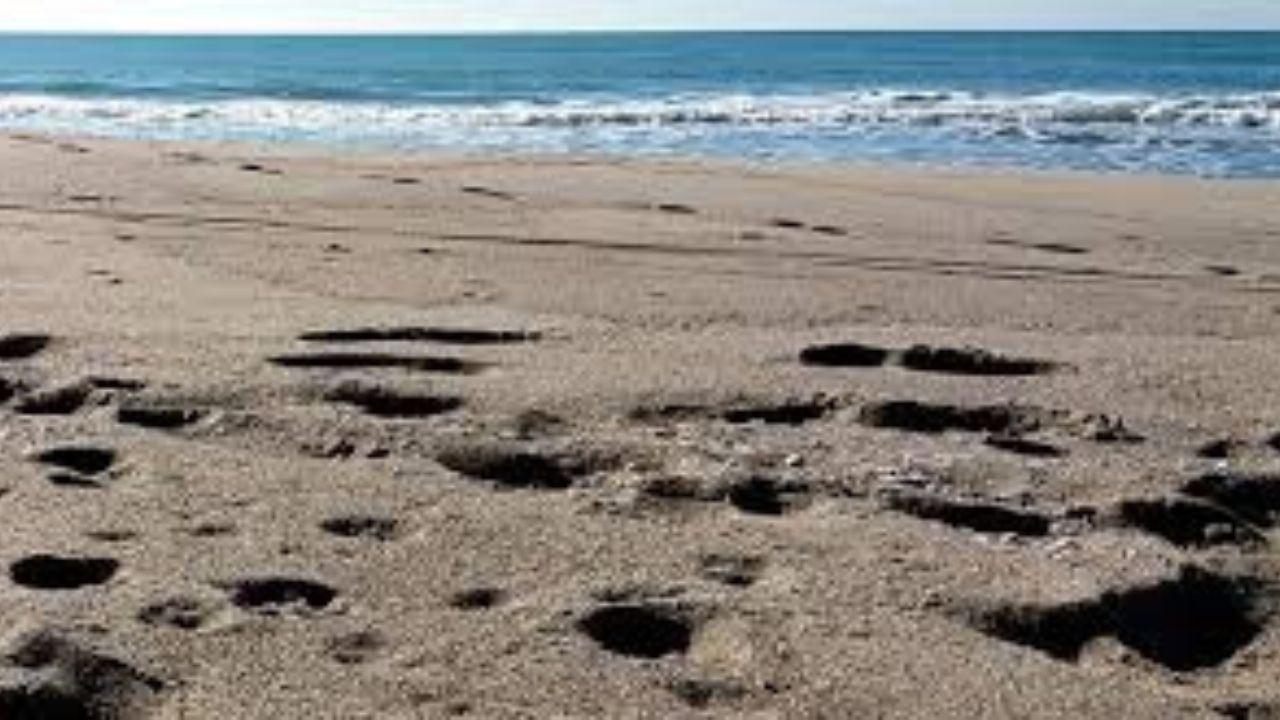 
	Uno scorcio di una spiaggia (foto d'archivio)

