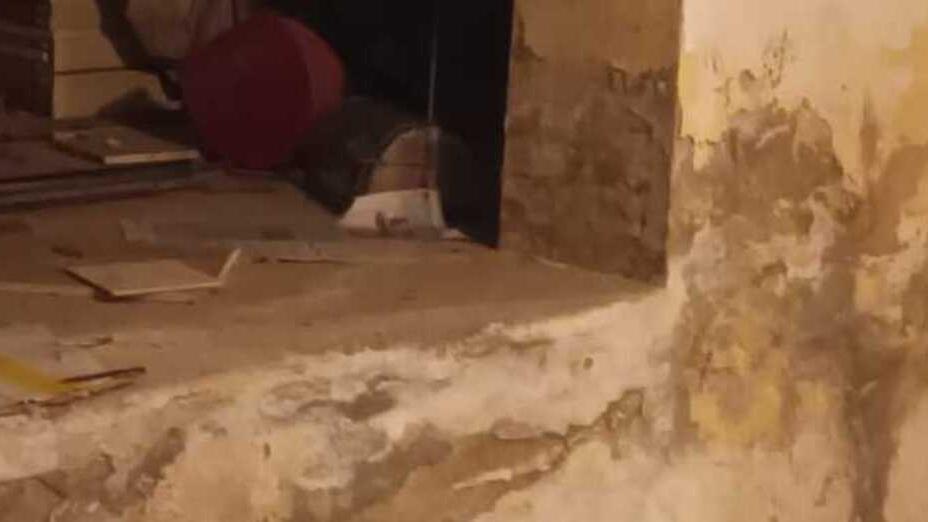 Copparo, degrado in via Verdi e nelle cantine spuntano due bare