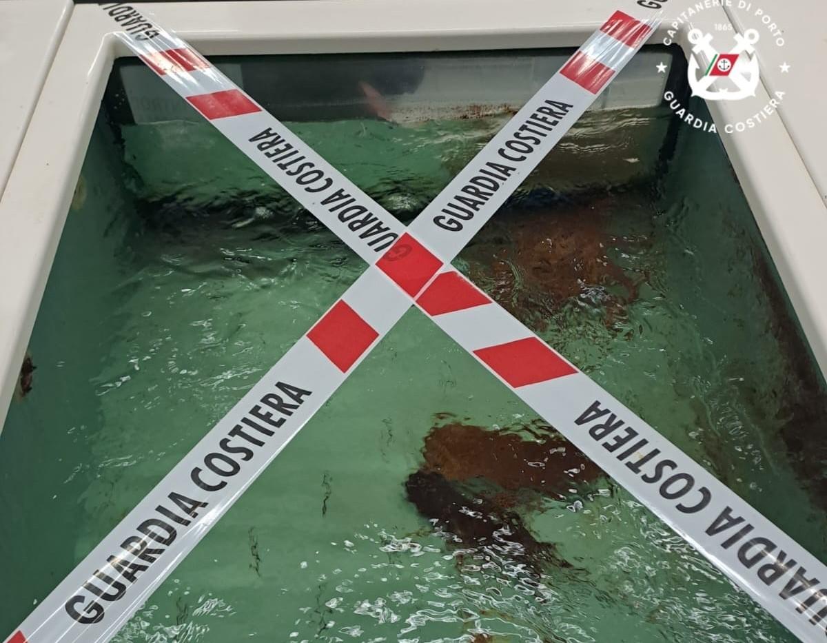 Operazione “e-fishing”: sequestrati nel nord Sardegna 275 chili di pesce