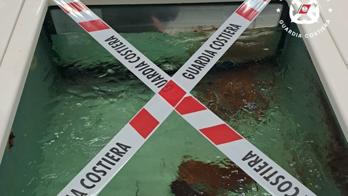 Operazione “e-fishing”: sequestrati nel nord Sardegna 275 chili di pesce