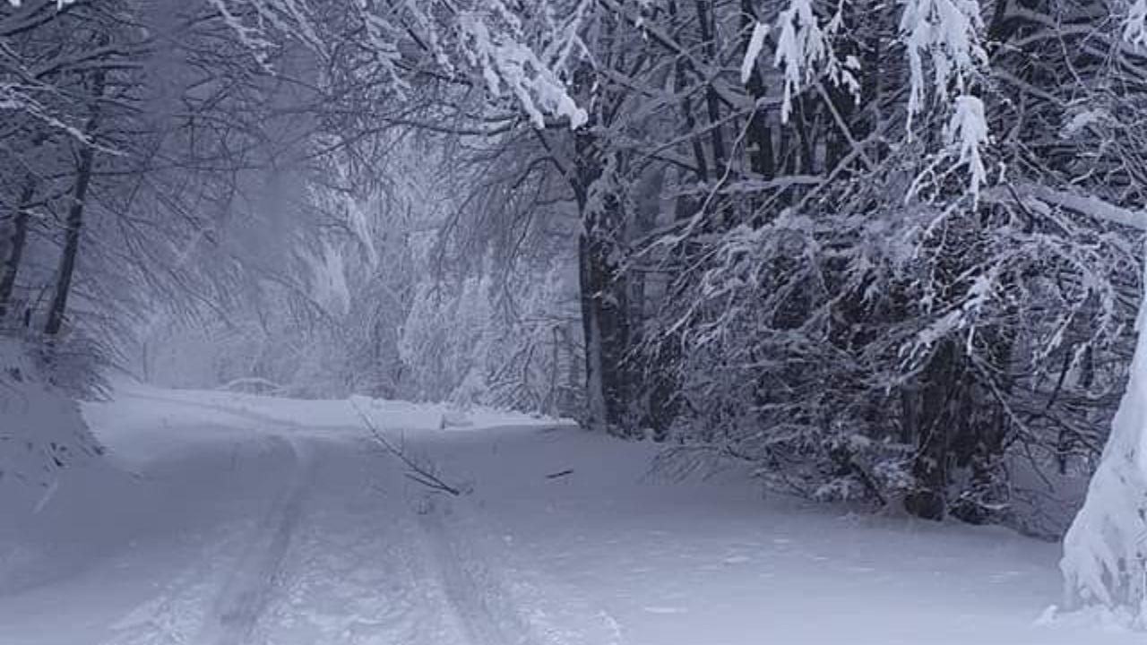 
	La zona di Passo del Brattello

