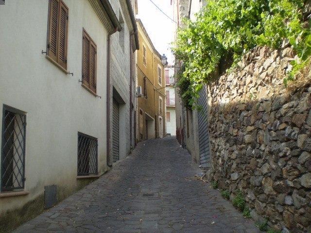 
	Uno scorcio del centro storico di Bolotana

