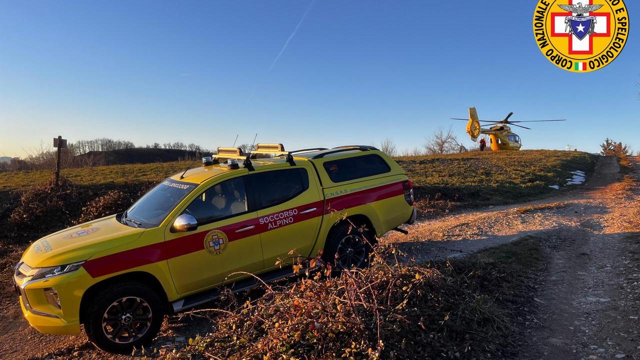 Canossa, gli cade una pianta addosso mentre taglia la legna: ferito 79enne