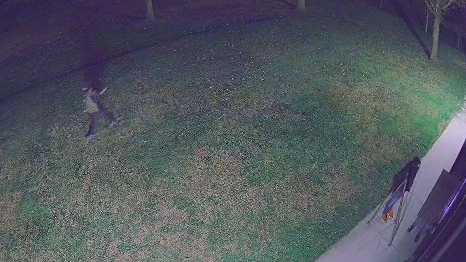 Correggio bersagliata dai ladri: l’antifurto mette in fuga i malviventi