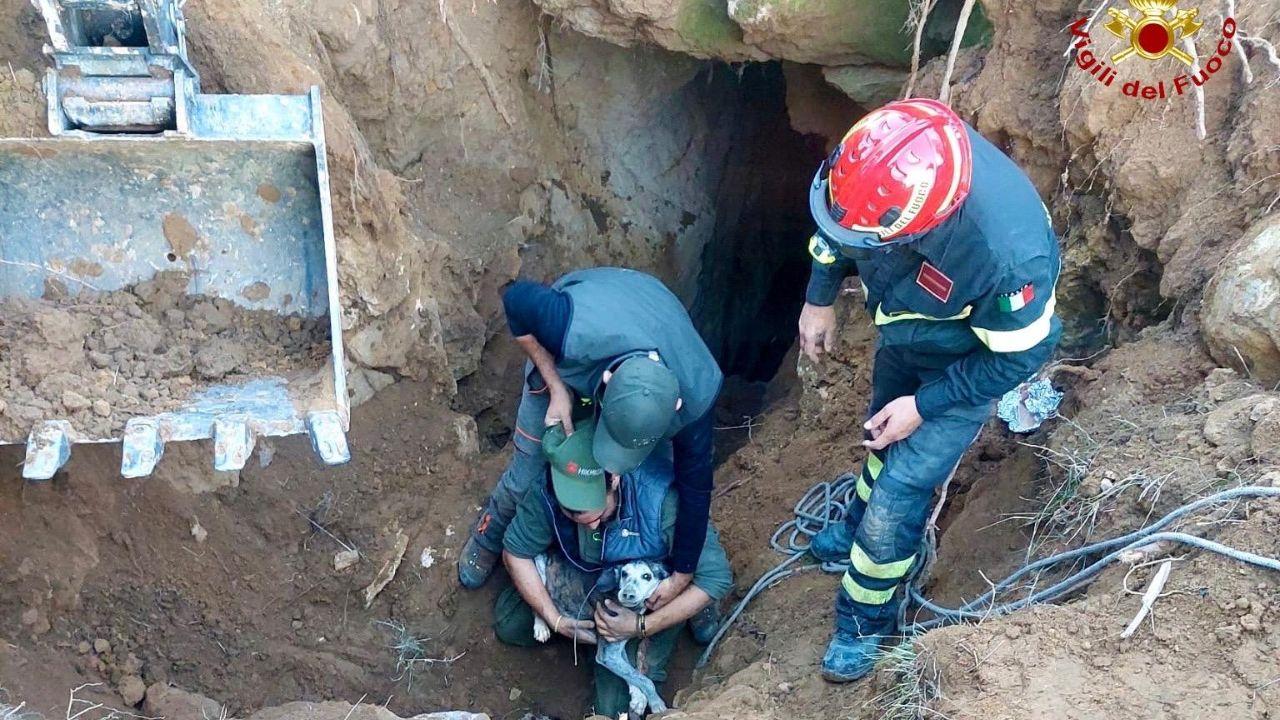 Il cane salvato dai vigili del fuoco