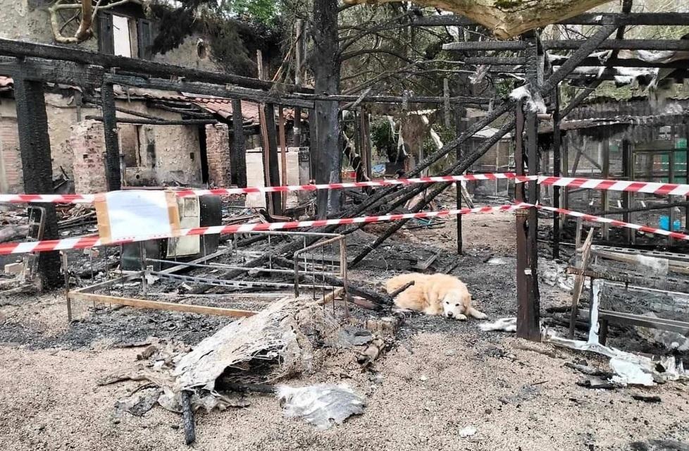 
	Il rifugio distrutto dalle fiamme

