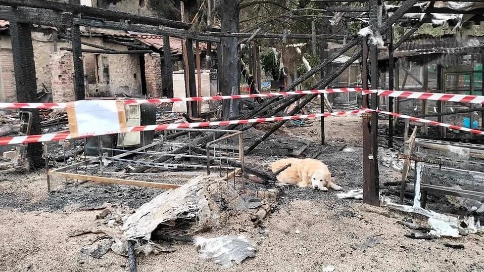 Il rifugio distrutto dalle fiamme