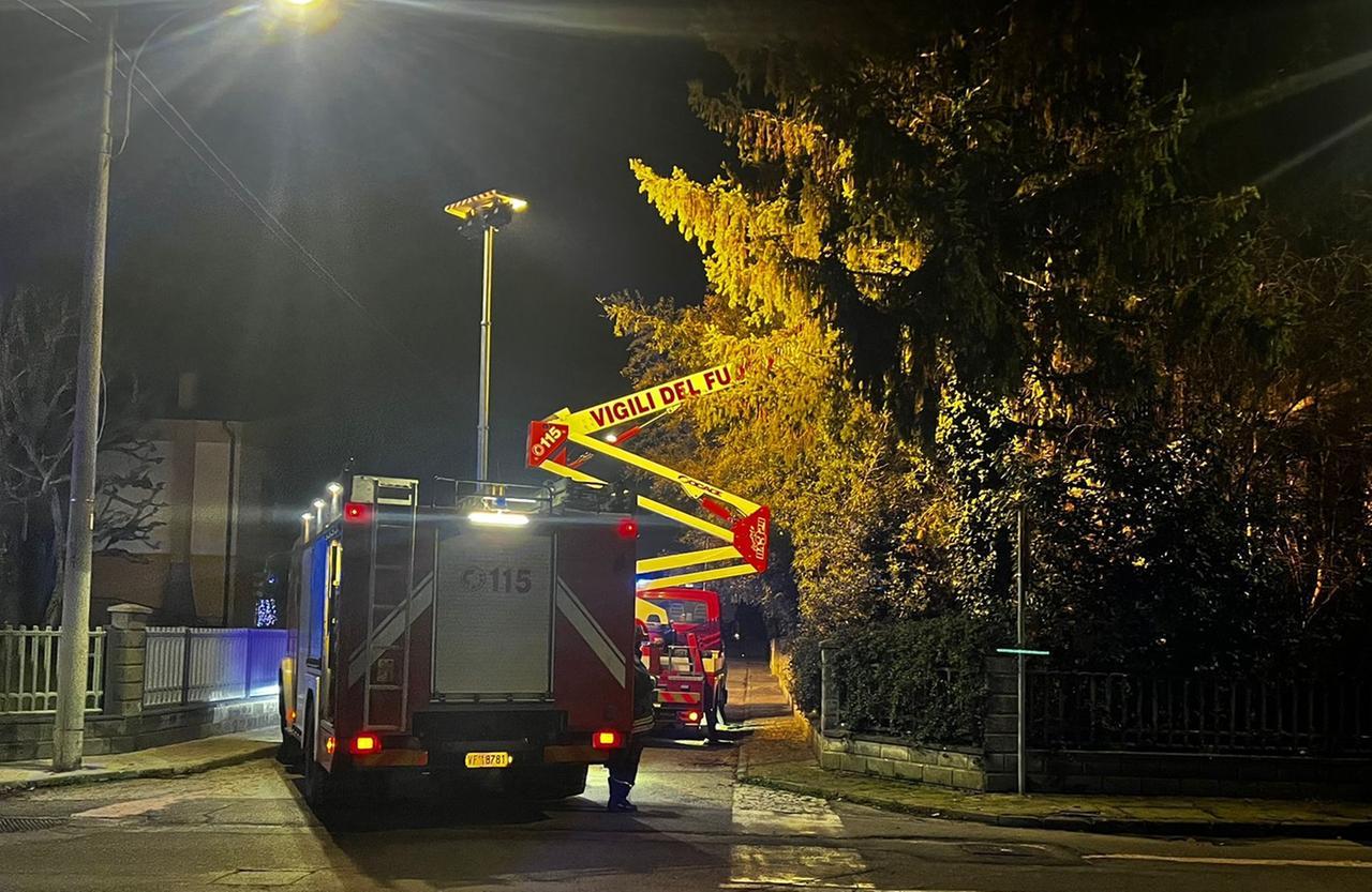 Finale Emilia, va a potare l’albero e muore