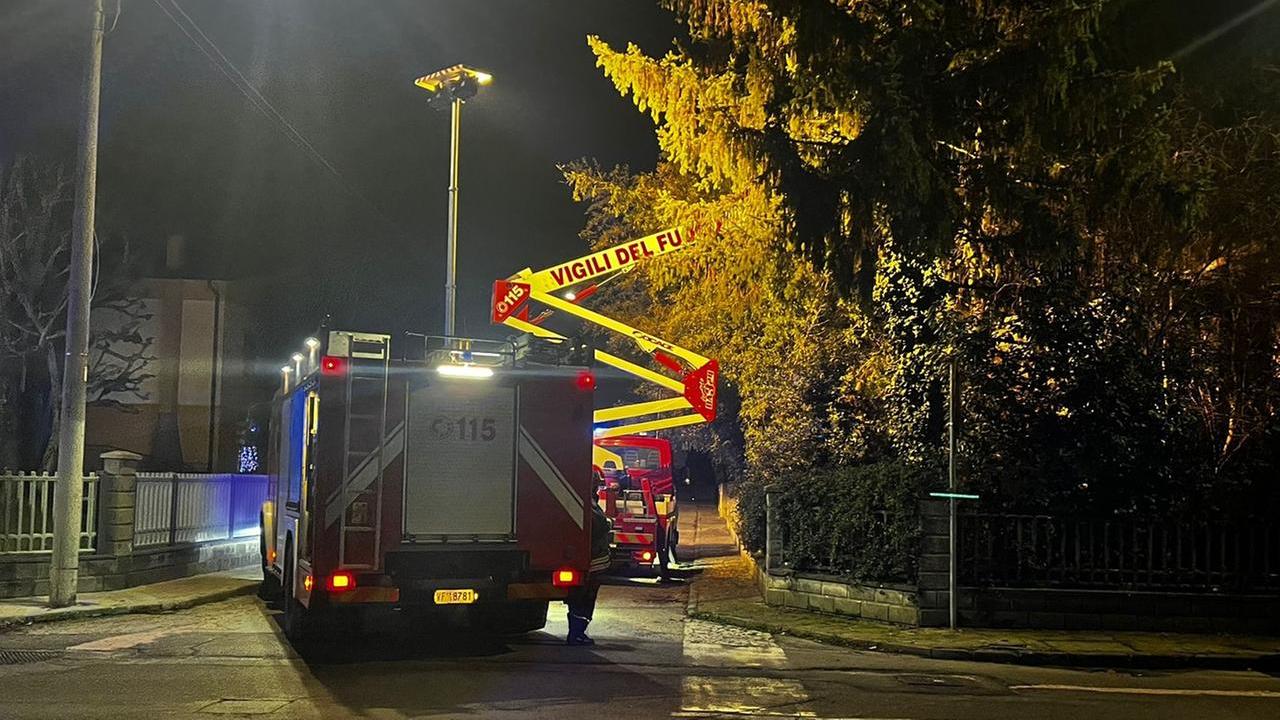 Finale Emilia, va a potare l’albero e muore