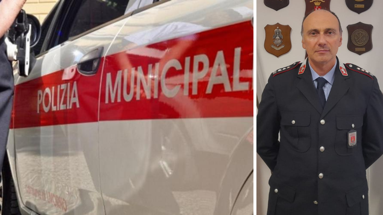 Livorno, passeggera di 96 anni senza cintura (per un motivo): multata la conducente. Il comandante dei vigili spiega la norma