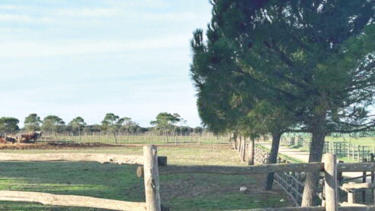Territorio sostenibile, dieci cose da fare subito in Maremma secondo Legambiente