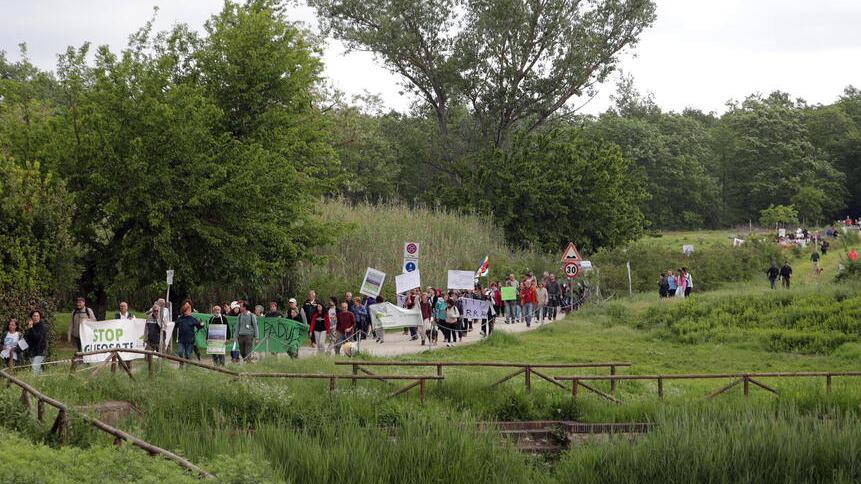 L’associazione denuncia: «Bracconieri nel Padule di Fucecchio»