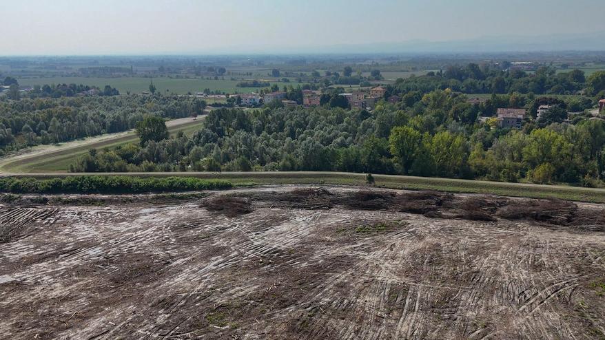 Bosco raso al suolo sul Secchia: maxi multa di 200mila euro all’azienda che ha abbattuto gli alberi