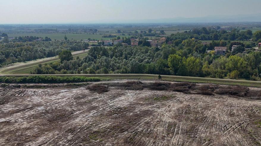 Bosco raso al suolo sul Secchia: maxi multa di 200mila euro all’azienda che ha abbattuto gli alberi