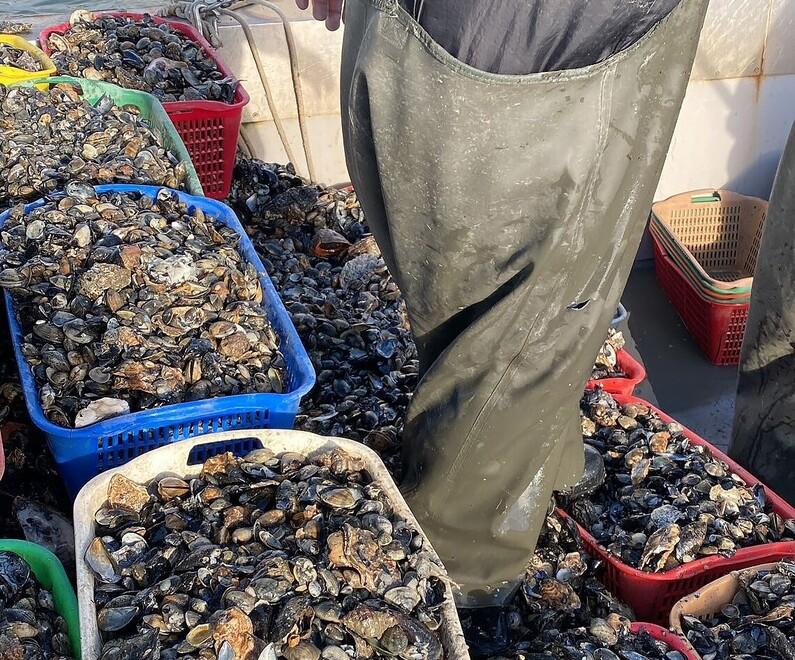 Comacchio, gioca i soldi e sparisce: cooperativa destinata a fallire