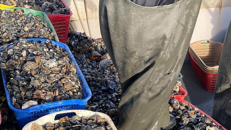 Comacchio, gioca i soldi e sparisce: cooperativa destinata a fallire