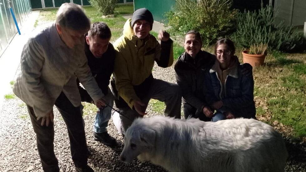 Mimì nel canile di Lajatico con i volontari