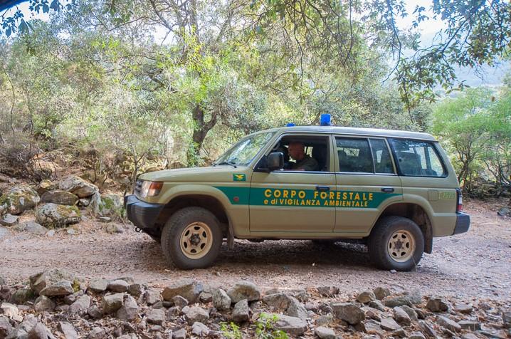 Bracconaggio e caccia illegale: maxi-operazione del Corpo Forestale