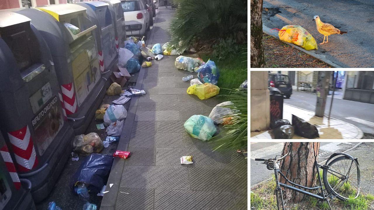 Carrara, rifiuti dispersi e discariche abusive costano fino a 400mila euro annui