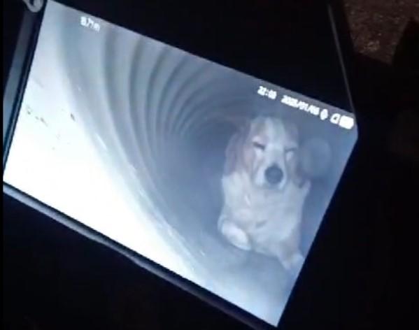 
	Kira nel tubo ripresa dalla sonda&nbsp;

