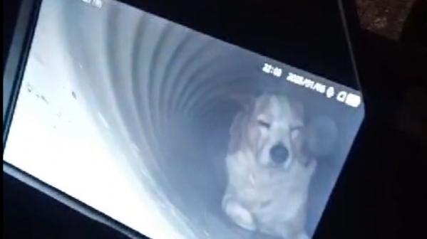 Kira nel tubo ripresa dalla sonda 