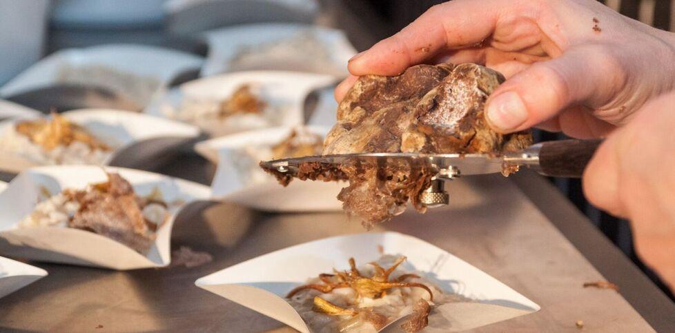 Tartufo in tavola, ecco dove mangiarlo a Ferrara e provincia