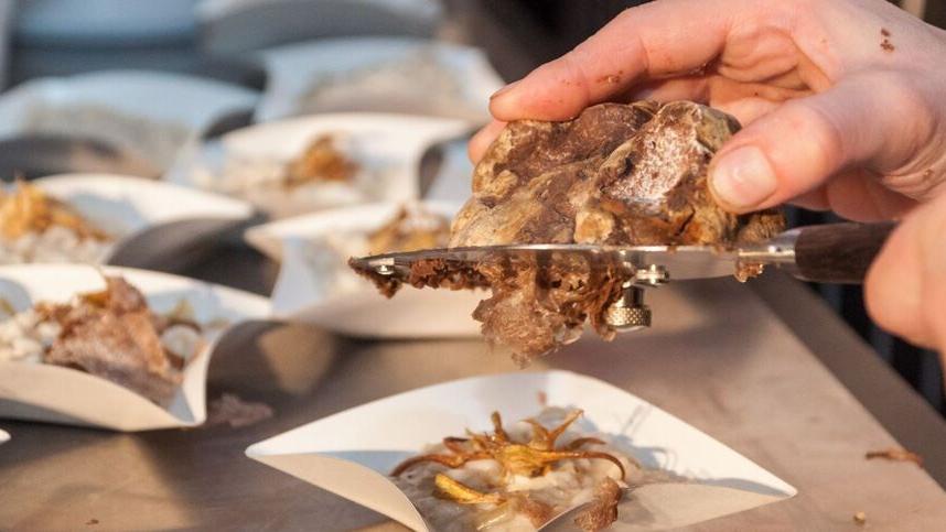 Tartufo in tavola, ecco dove mangiarlo a Ferrara e provincia