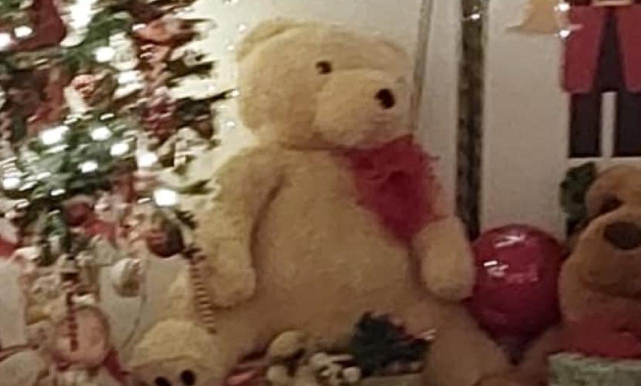 
	L'orso rubato dal Villaggio di Natale

