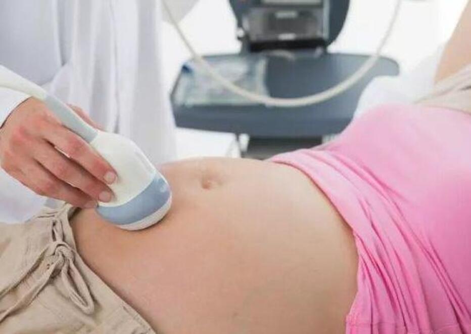 
	Ecografia in gravidanza (foto d&rsquo;archivio)

