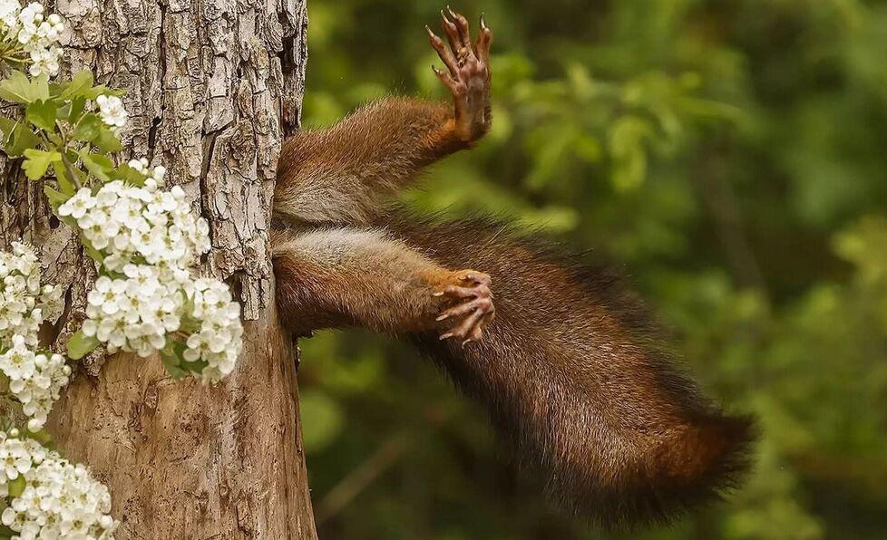 Lo scatto tra i più belli al mondo è ferrarese