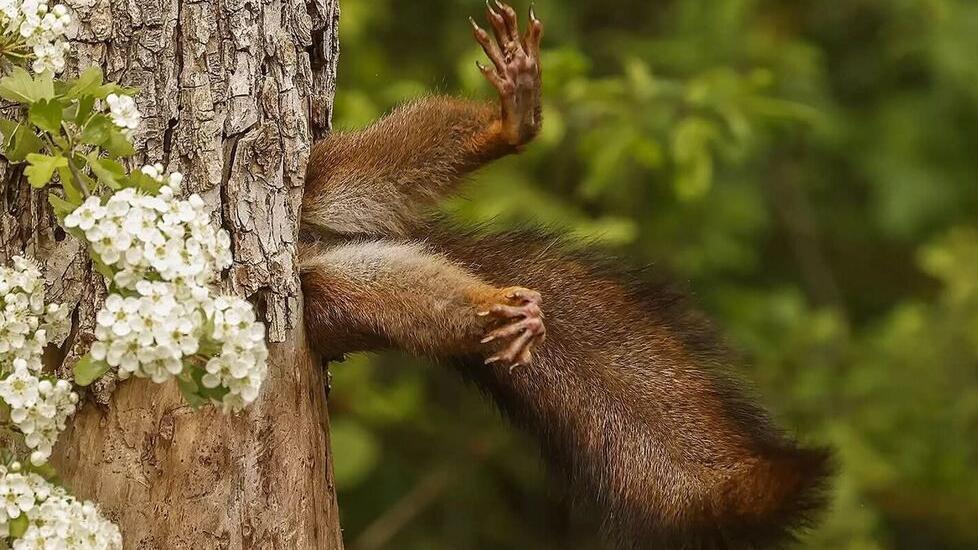 Lo scatto tra i più belli al mondo è ferrarese