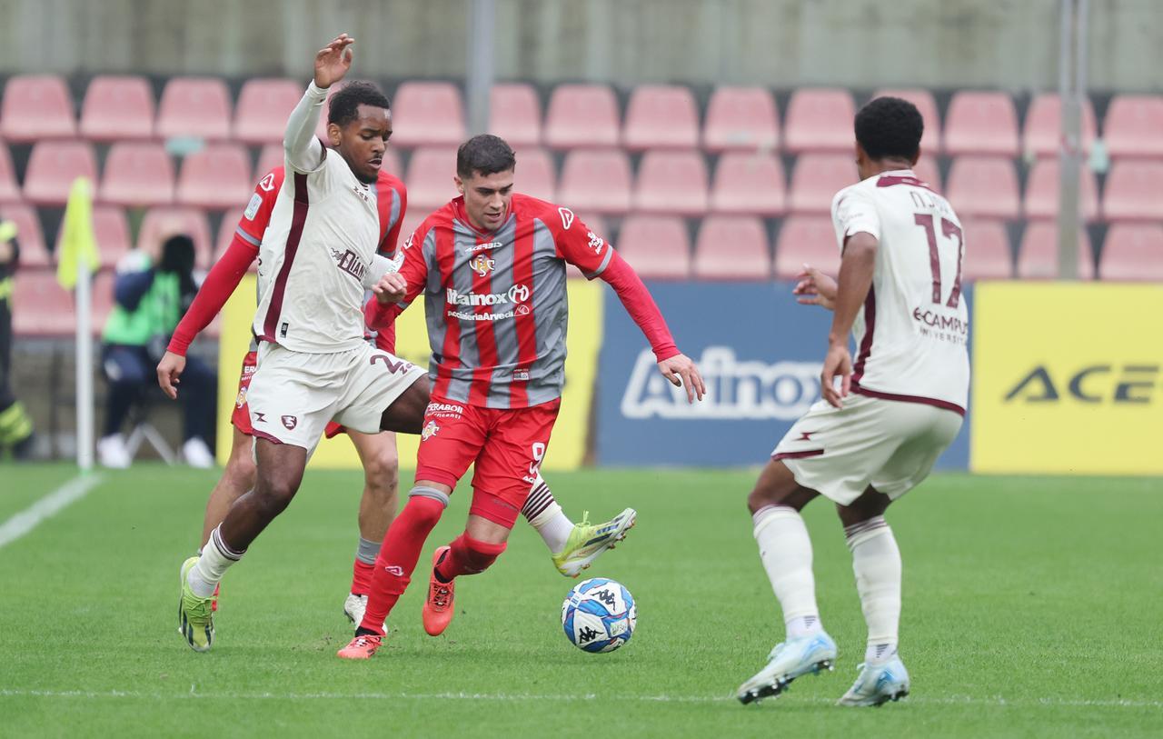 
	Zanimacchia in azione

