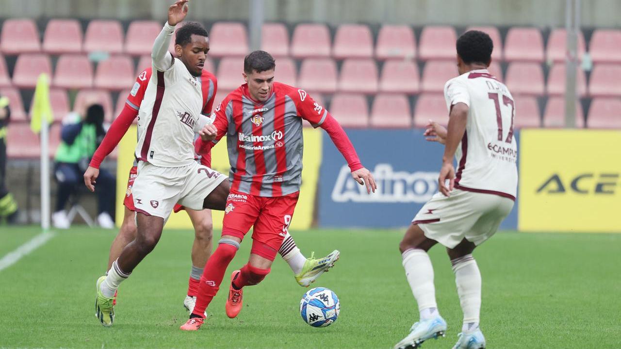 Zanimacchia in azione