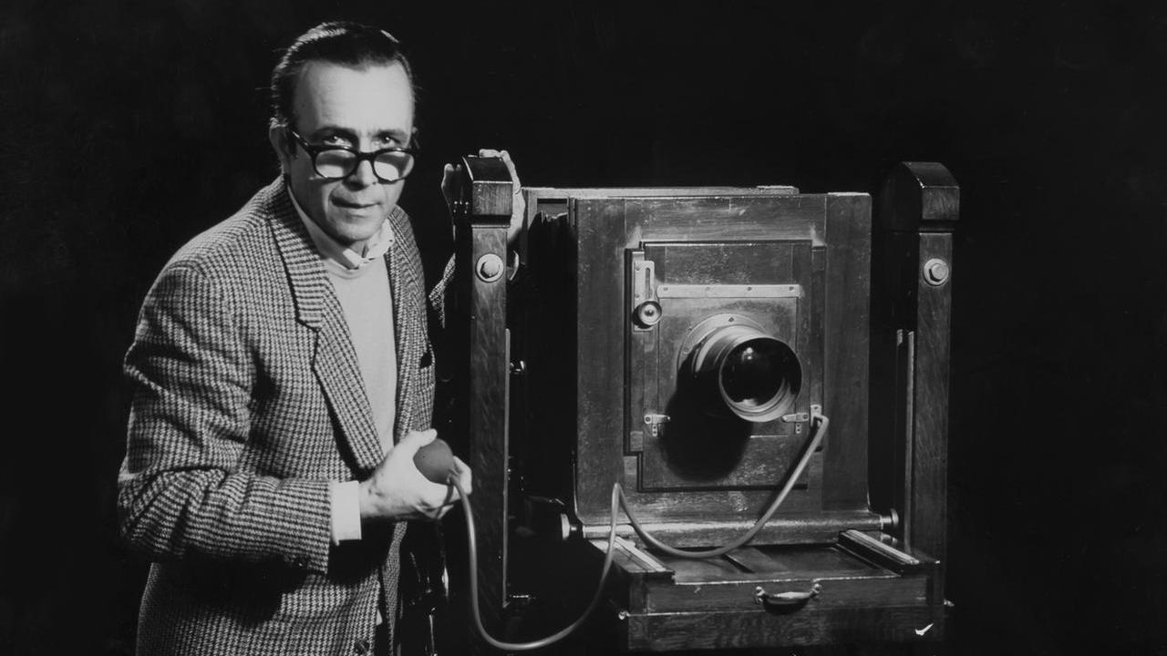 Ardizzoni, dalla bottega alle foto digitali: la storia di Cento in un click