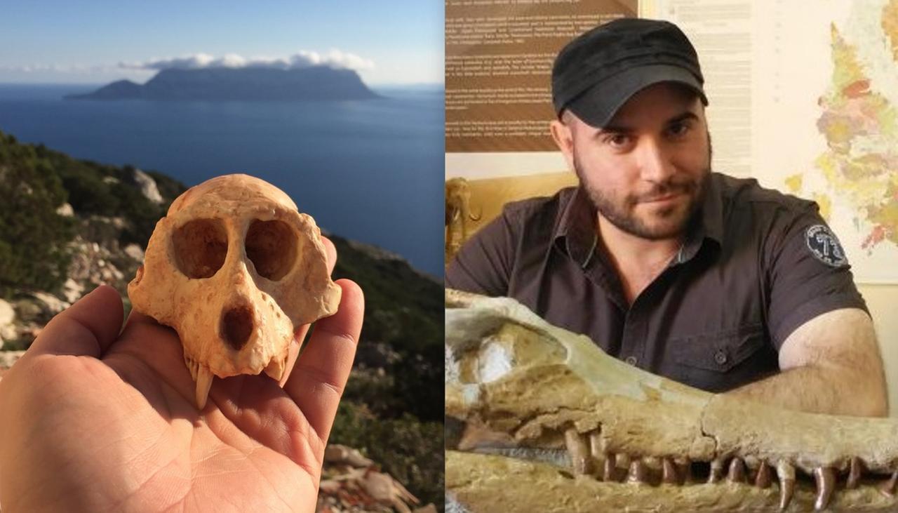 
	La copia di un cranio di scimmia a Capo Figari e il paleontologo Daniel Zoboli

