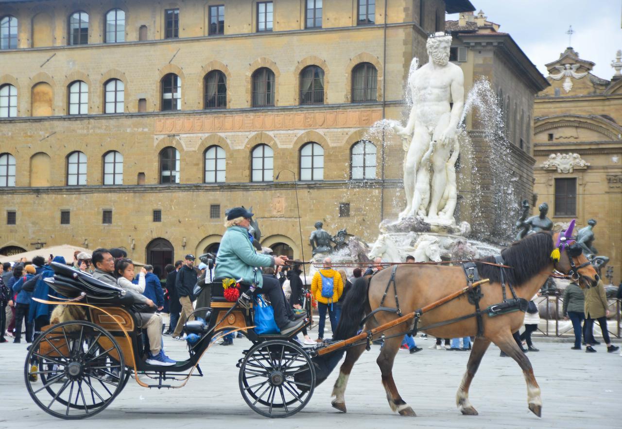 
	Una fiaccheraia in piazza della Signoria (foto d'archivio non riferita all'incidente)

