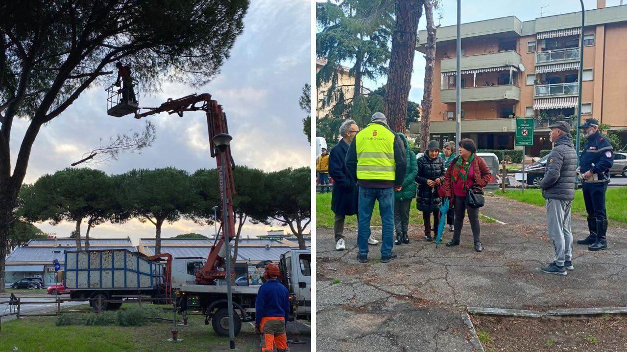 le operazioni di taglio nel parco in zona viale Uranio e il colloquio tra i cittadini arrivati sul posto e i tecnici del Comune