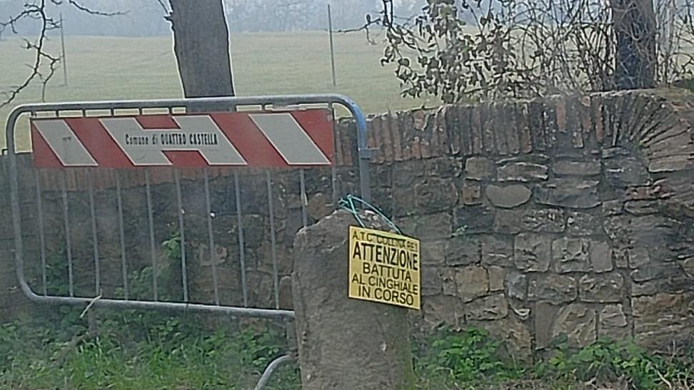 «Io, con mia figlia e il cane in Oasi al Bianello durante la caccia al cinghiale: all’ingresso nessun cartello»