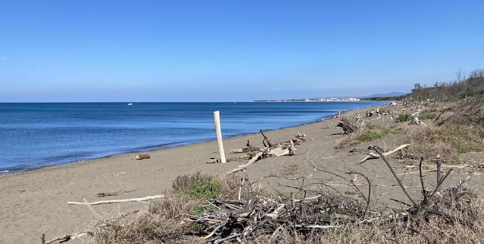 Erosione a Marina di Cecina, così il mare divora due metri di spiaggia all’anno. Che cos’è il progetto “Interreg Ammirare”